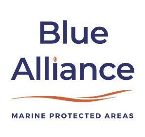 Blue Alliance logo