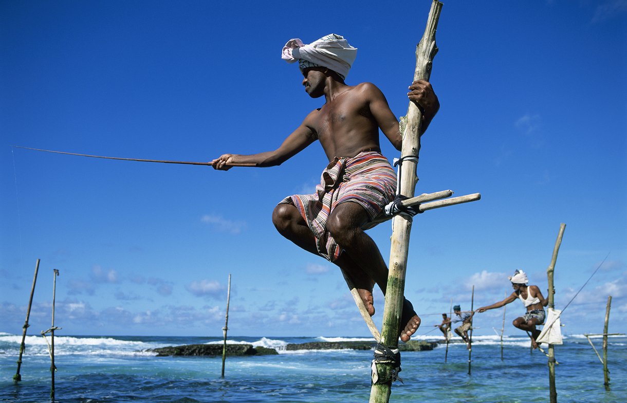 Donate to Humanity Insured