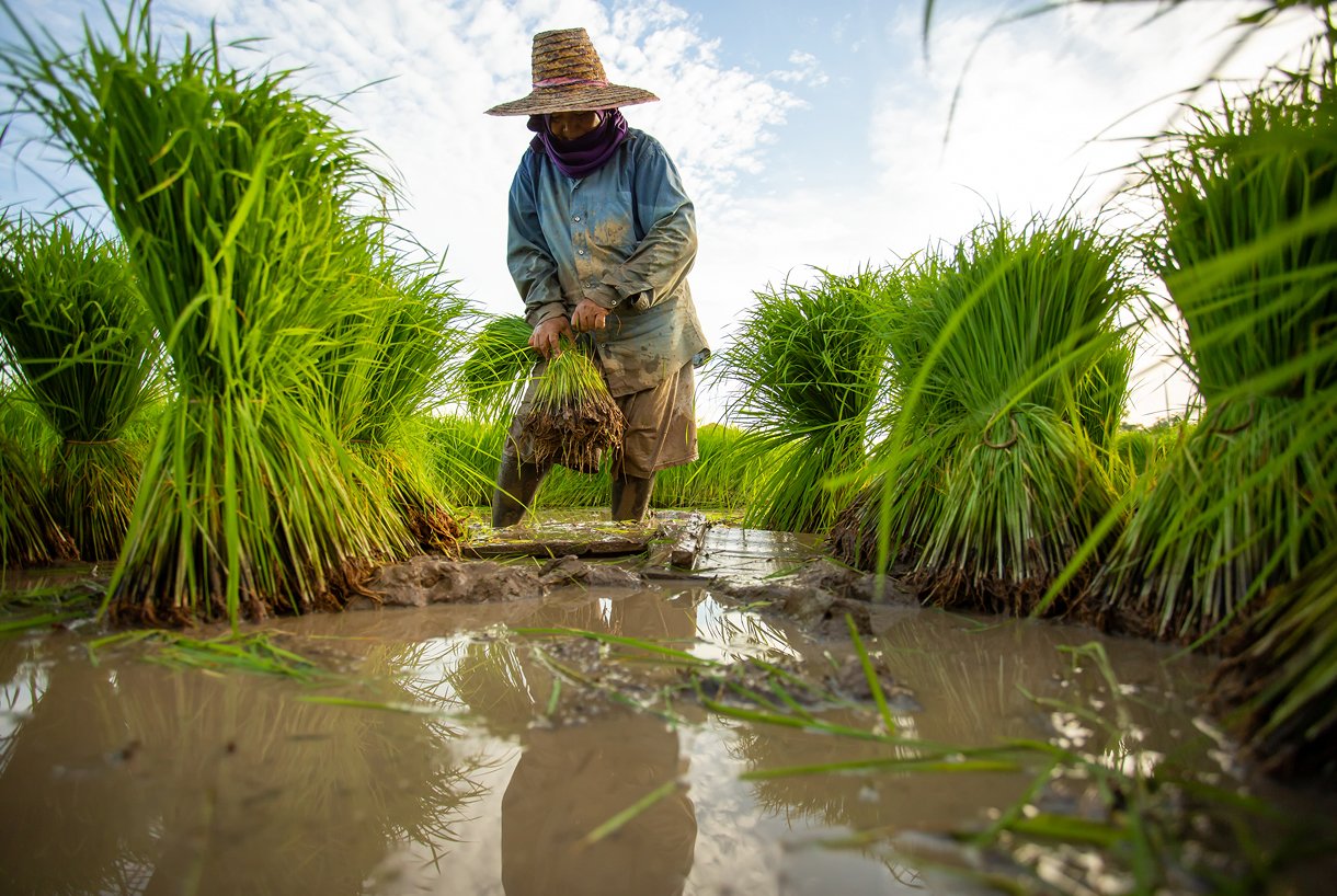 Humanity Insured: Our mission