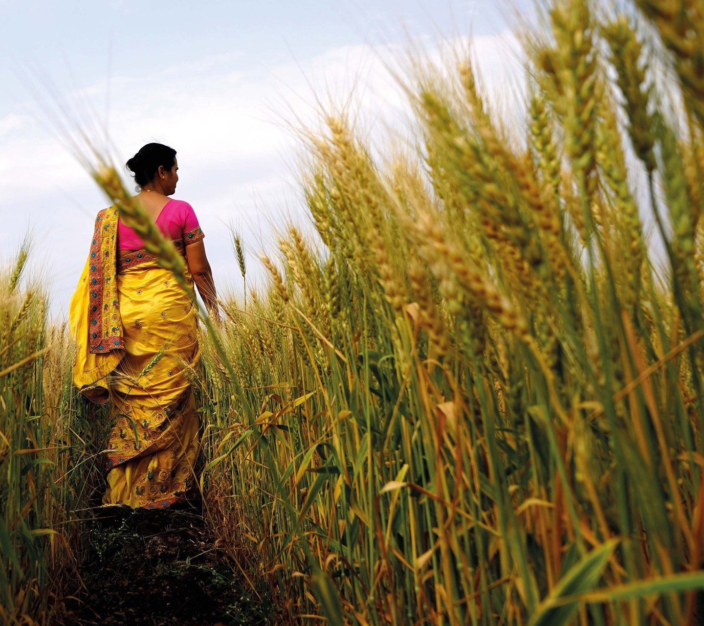 Indian woman walking through a cornfield
